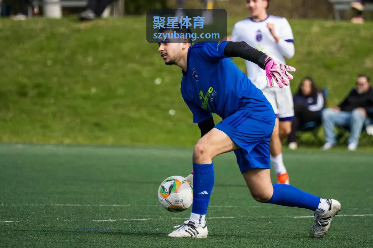 聚星体育比分数据实时更新界面